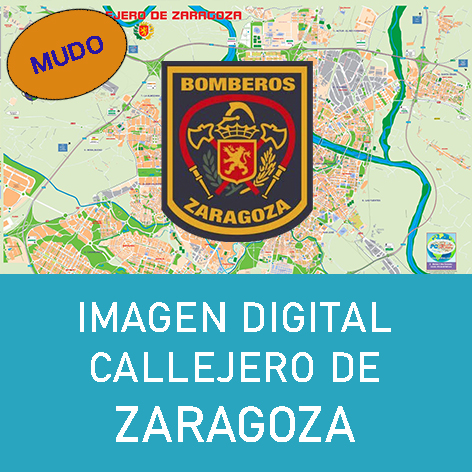 Imagen Digital Callejero de Zaragoza (Malla Mudo)