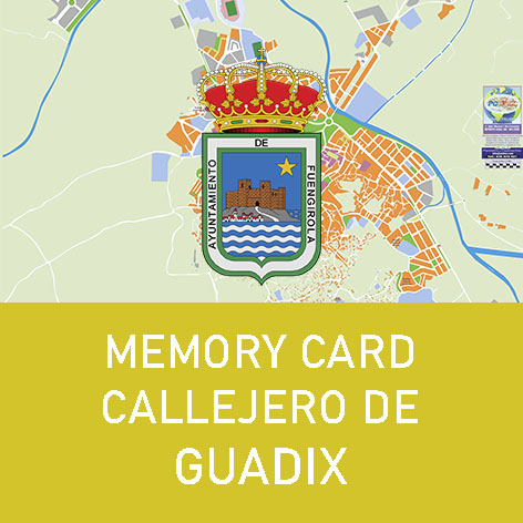 Memory Card Callejero de Guadix
